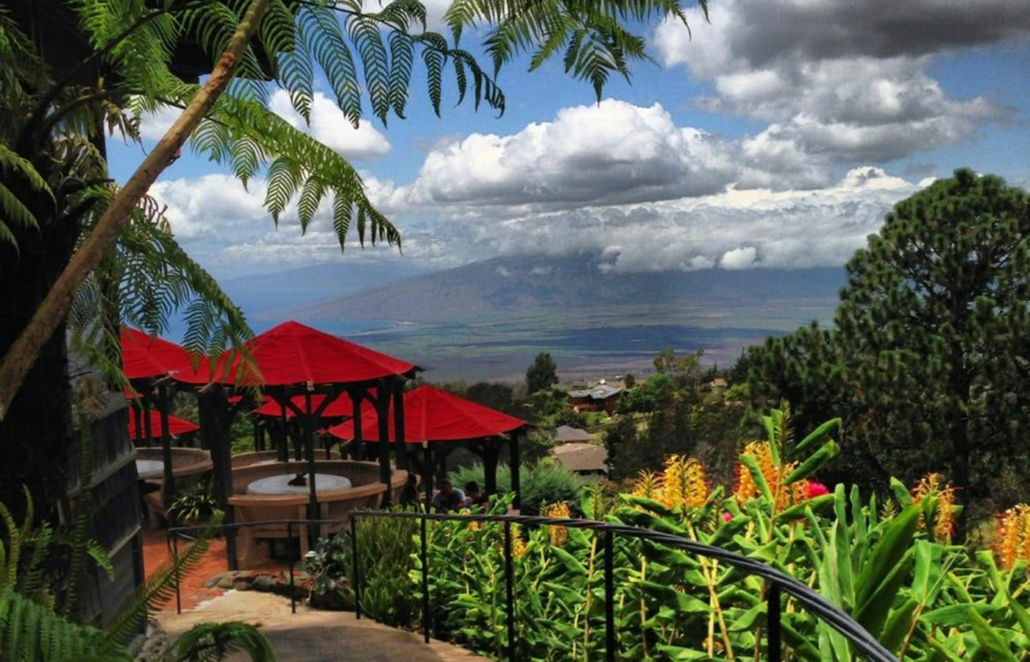 Kula Lodge Restaurant & Bar | Fine Dining Upcountry Maui