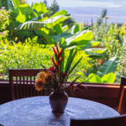 Kula Maui accommodations